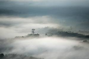 BIB: 
                            <button type="button" onclick="openModal(21900093)" class="btn btn-primary btn-sm float-right btn-popup" data-toggle="modal" data-target=".modal-high-quality">
                        <i class="fas fa-shopping-cart"></i> Add to Cart
                    </button>
                                            <button type="button" onclick="isThisMe(21900093, true)" class="btn btn-success btn-sm float-right btn-popup btn-isme hidden" data-toggle="tooltip" data-placement="bottom" title="นี่คือรูปของคุณใช่ไหม คลิกที่นี่เพื่อเอาเข้าอัลบั้ม">
                        <i class="fas fa-plus"></i> Add to album
                    </button>
                    <button type="button" onclick="isThisMe(21900093, false)" class="btn btn-warning btn-sm float-right btn-popup btn-isnotme hidden">
                        <i class="fas fa-ban"></i> Remove from album
                    </button>